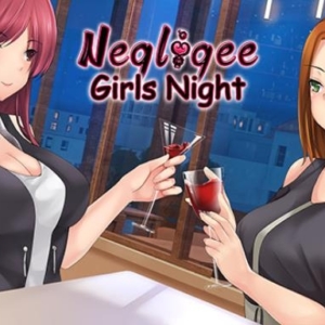 Negligee Girls Night