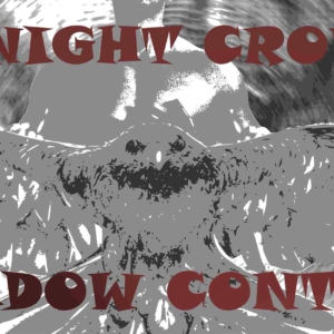 Rheoli Cysgod Crow Night