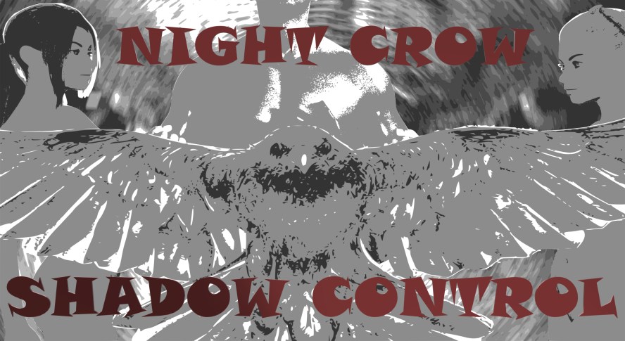 Night Crow Shadow Control - 3D-speletjies vir volwassenes