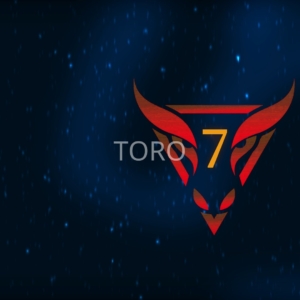 Toro 7